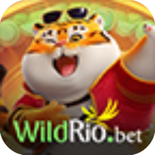 WILDRIO Cassino Online